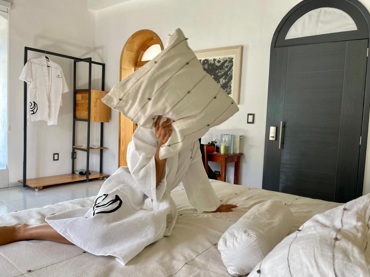 Larimar Gallery Y Hotel Boutique Oaxaca Εξωτερικό φωτογραφία