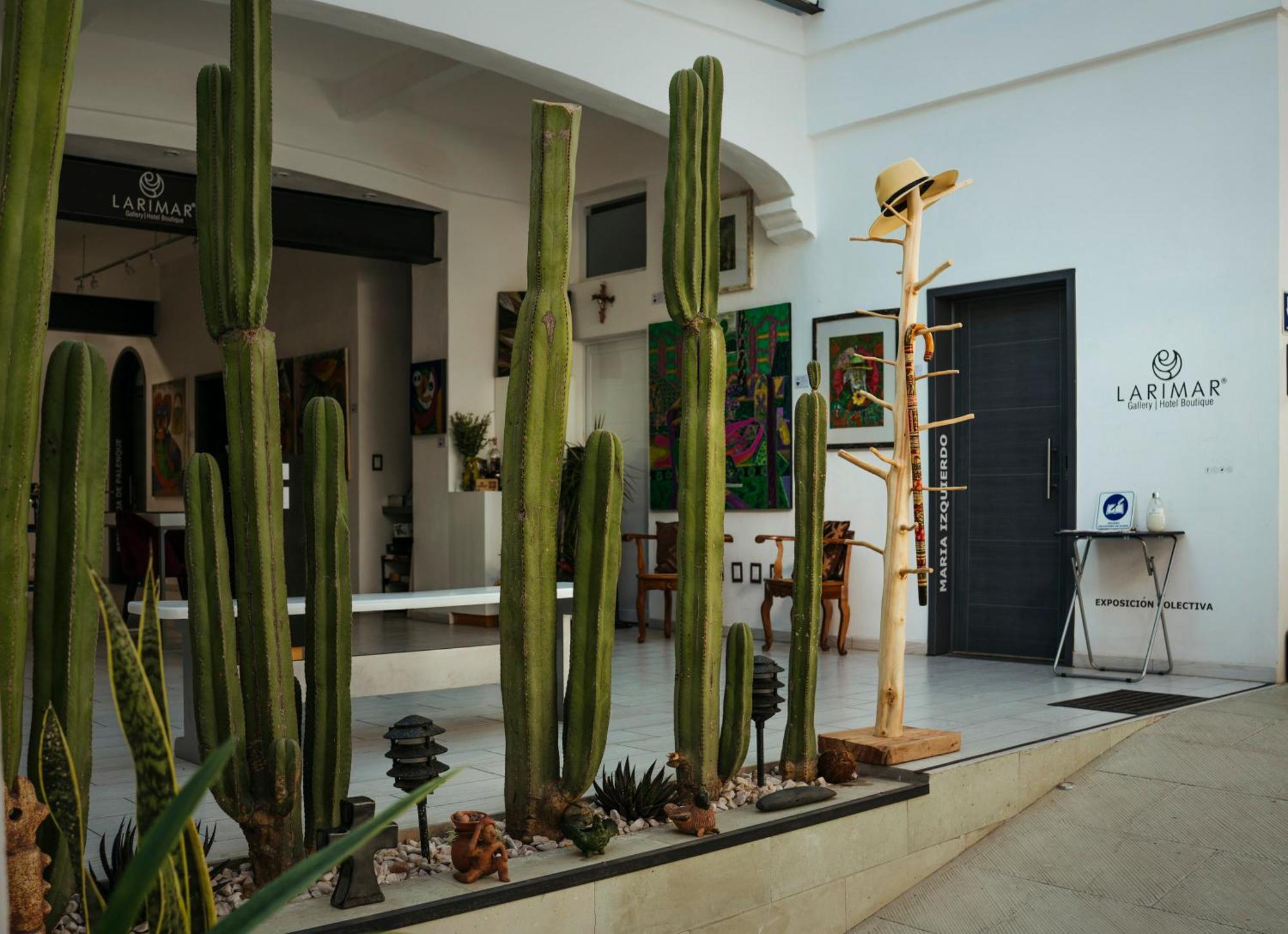 Larimar Gallery Y Hotel Boutique Oaxaca Εξωτερικό φωτογραφία